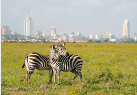 Explore Nairobi