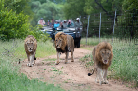 Tour Africa's top countries