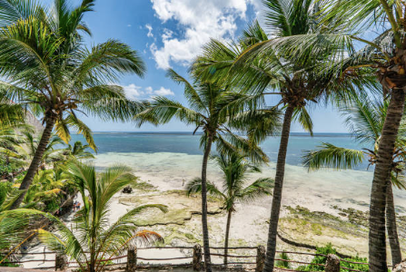 kenya safari and beach holiday