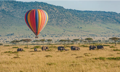 kenya safari and beach holiday