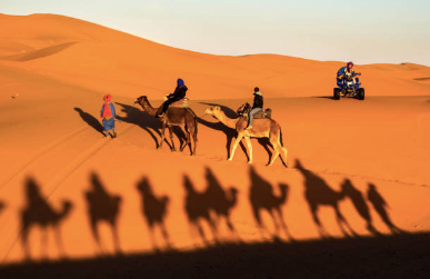 Travel Guide to Morocco