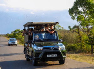 Profesional Tour Guide