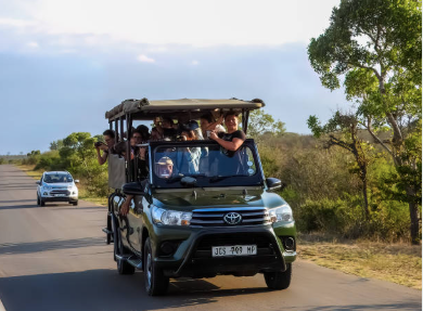 Profesional Tour Guide