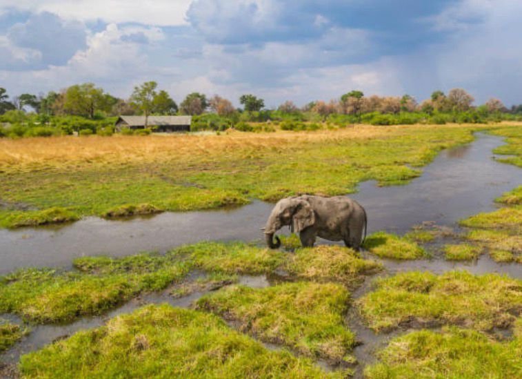 4 Best countries to visit in Africa