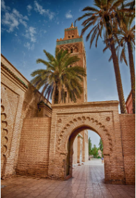 Things to do in Marrakech
