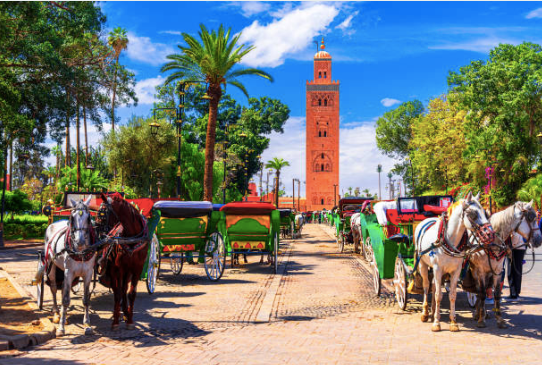 Things to do in Marrakech