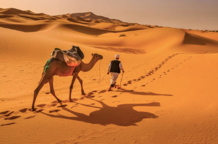 Things to do in morocco