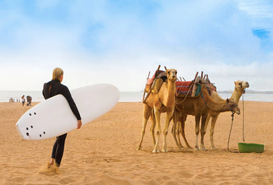 things to do in Morocco