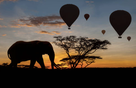 serengati hot air ballons
