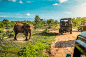 budget safari Kenya