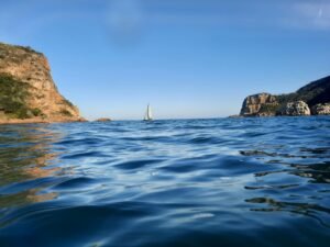 things to do in knysna