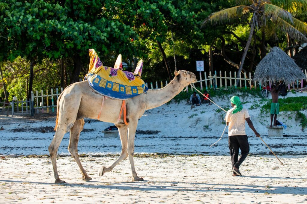 travel guide to mombasa.jpg