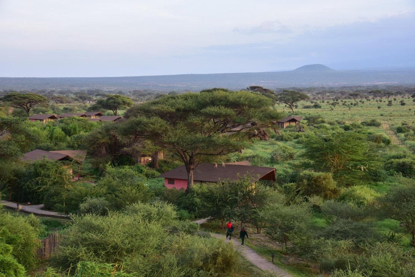 https://expedia.com/affiliates/oloitoktok-hotels-kilima-safari-camp.iq0j9Ee