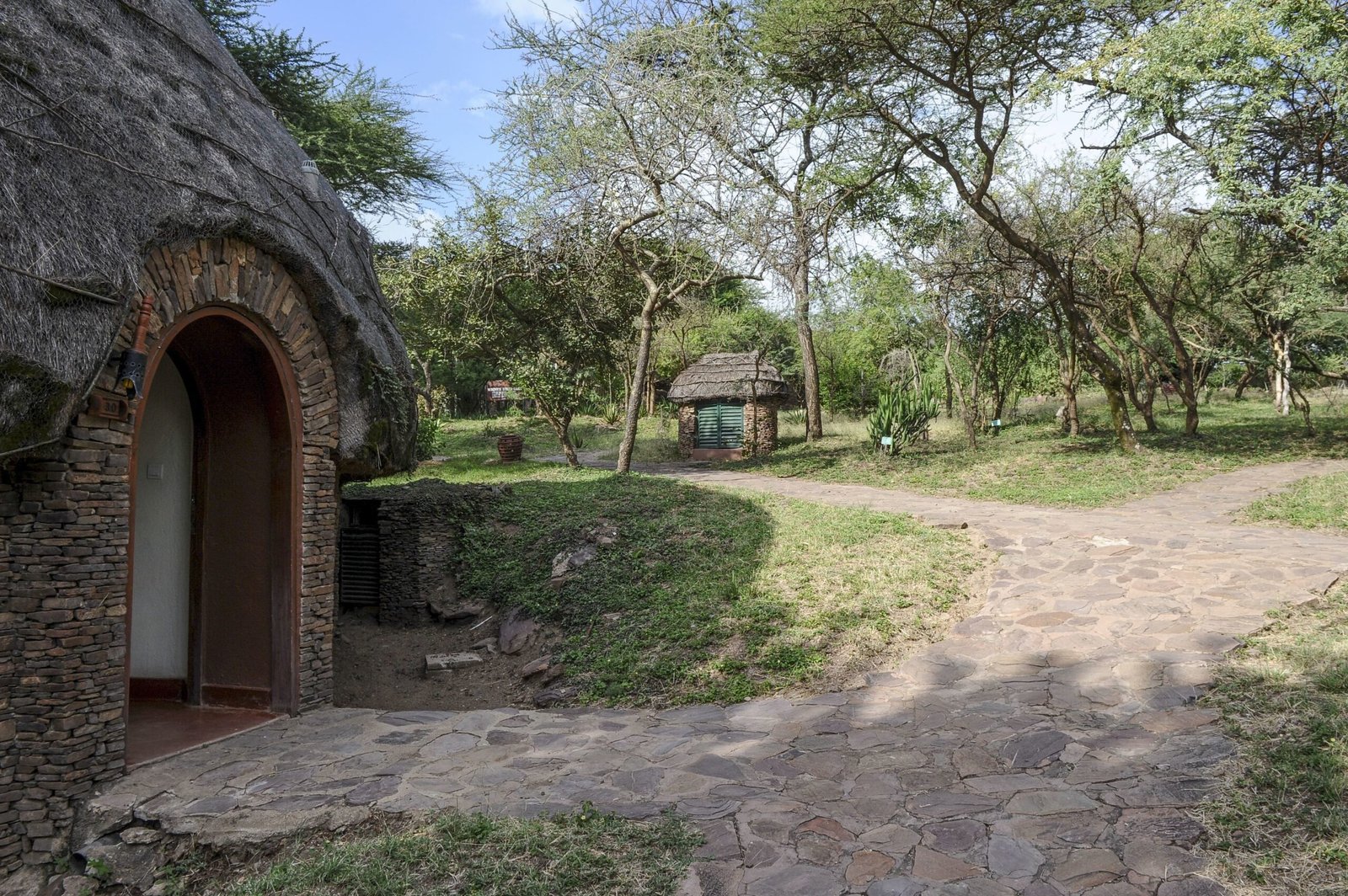 serengeti serena safarti lodge