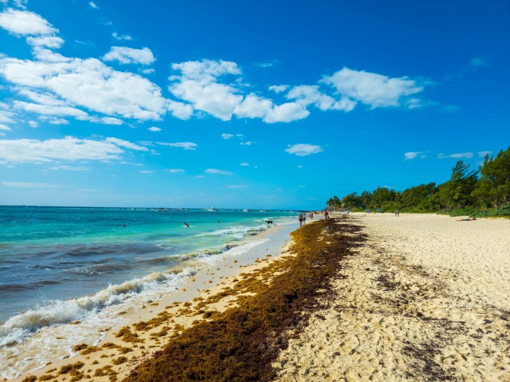 diani-beach-kenya-travel-guide
