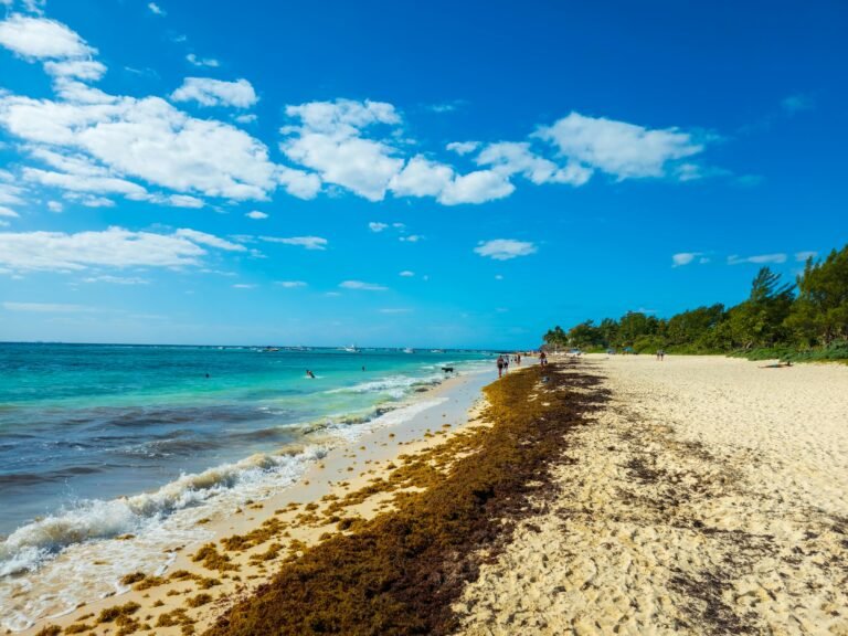 diani-beach-kenya-travel-guide