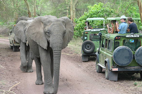 kenya vs Tanzania