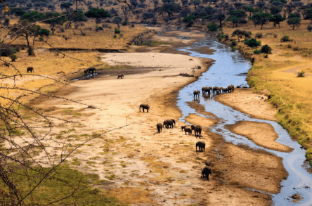 Tarangire National Park