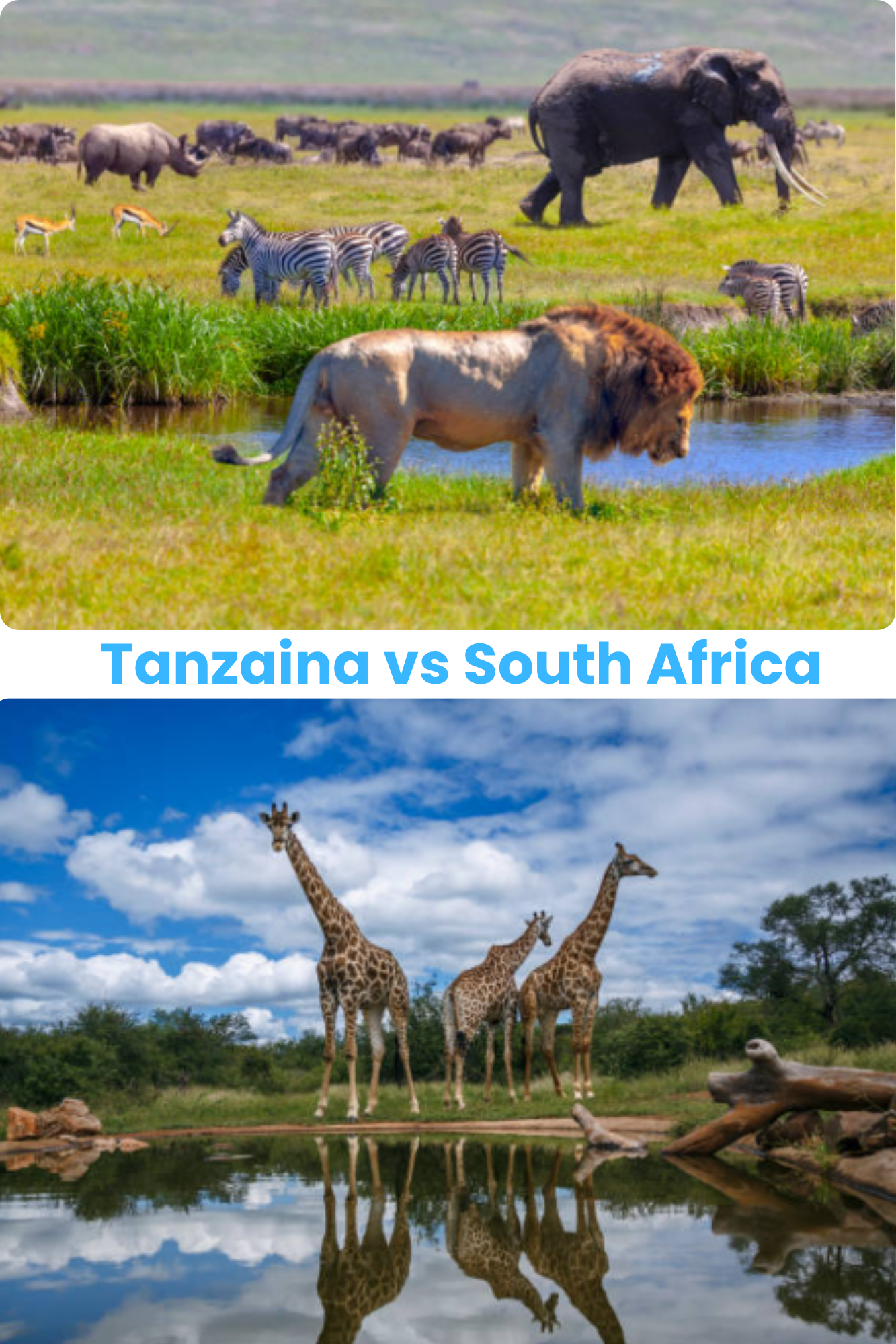 South Africa vs Tanzania