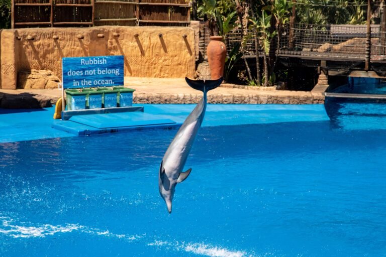 best things to do in Durban